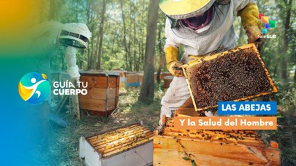 Las Abejas y la Salud del Hombre
