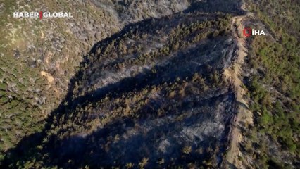 Sakarya’da dumanlar dağıldı, yangının hasarı ortaya çıktı