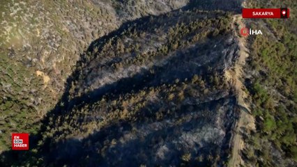 Sakarya’da dumanlar dağıldı, yangının hasarı ortaya çıktı