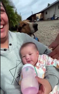 Cachorro viraliza na web após protagonizar cena de ciúmes com sua tutora