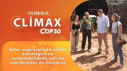 Setor empresarial é aliado estratégico na sustentabilidade, afirma coordenador da Concaves