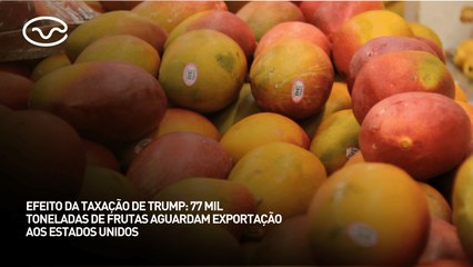 Efeito da taxação de Trump: 77 mil toneladas de frutas aguardam exportação aos EUA