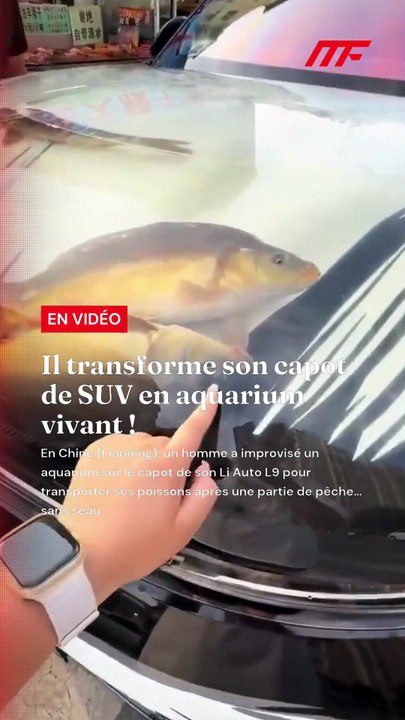 🐟🇨🇳 FLASH INSOLITE – Il transforme son capot de SUV en aquarium vivant !  En Chine (Liaoning), un homme a improvisé un aquarium sur le capot de son Li Auto L9 pour transporter ses poissons après une partie de pêche… sans seau 🛻