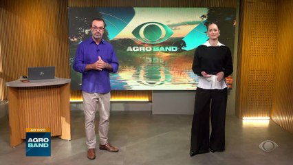 Da roupa à ração animal: os diversos usos do algodão