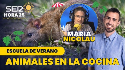 ¿Qué diferencia hay entre comer ternera o comer rata?: La cocina de María Nicolau