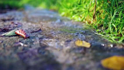 Les Découvertes Scientifiques Inexplicables