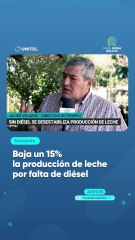 Baja un 15% la producción de leche por falta de diésel
