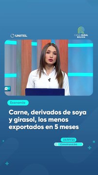 Carne, derivados de soya y girasol, los menos exportados en 5 meses