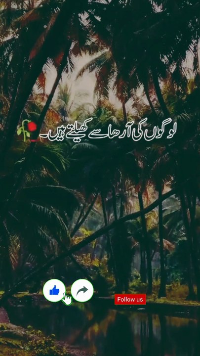 زندگی میں کبھی بھی کسی سے نفرت نہ کریں، کیونکہ نفرت دل کو سیاہ کر دیتی ہے اور محبت دل کو روشن، معاف کرنا سیکھیں، کیونکہ اللّٰهﷻ بھی انہیں معاف کرتا ہے جو دوسروں کو معاف کرتے ہیں رنجشیں دلوں میں کانٹے بچھا دیتی ہیں، لیکن محبت ان کانٹوں کو پھول بنا دیتی ہے،