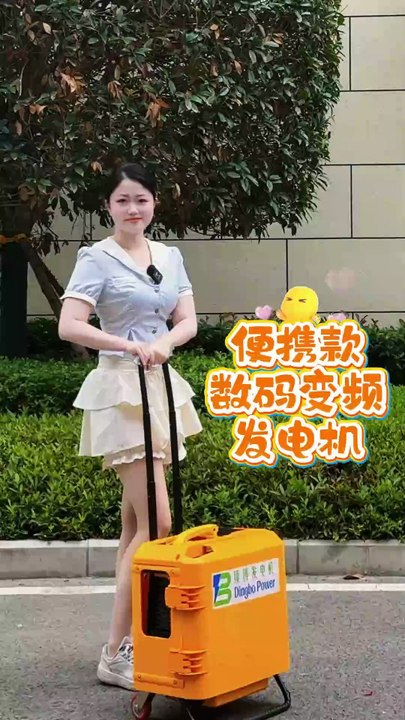 Backpack-Type Portable Lighting Gasoline Generator