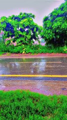 Rain – A Poem Without Words"