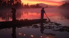 Xochimilco en Día de Muertos: La Noche Florecida de México