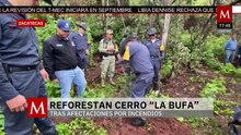 Ciudadanos ponen en marcha proyecto de reforestación en el Cerro de 'La Bufa' en Zacatecas