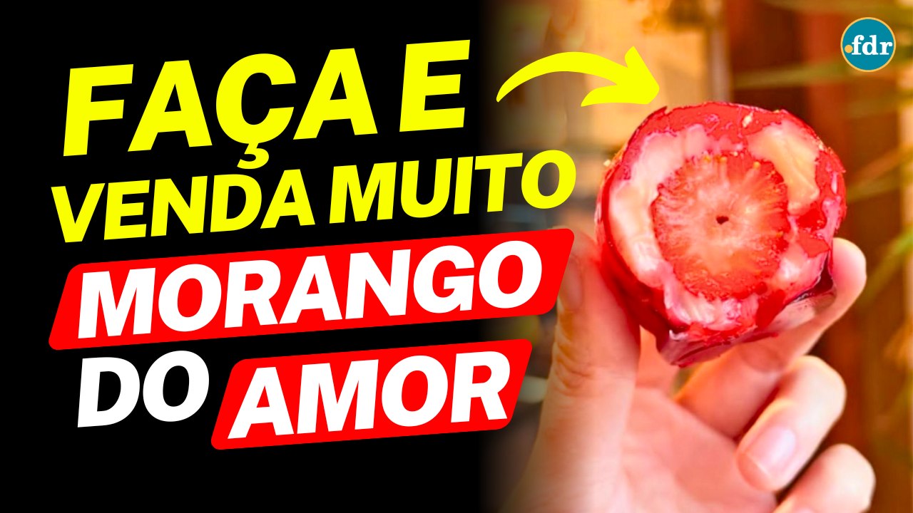 O QUE É MORANGO DO AMOR, QUANTO CUSTA, COMO FAZER E VENDER (DE FORMA SIMPLES!)