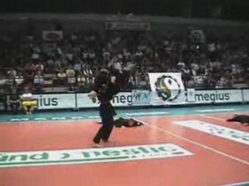 Presentazione Viet Vo Dao