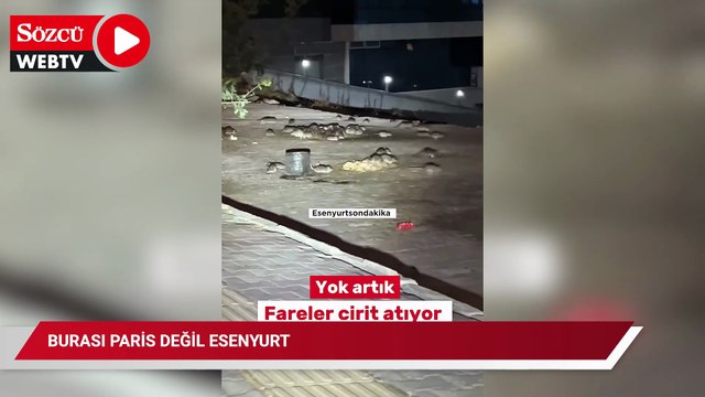 Burası Paris değil Esenyurt