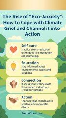 How to move forward with wellbeing in mind. #wellness #motivation #copeskills