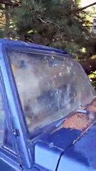 L'hereu de Palanca alerta que fa dies que hi ha gossos tancats en un vehicle abandonat a Tor