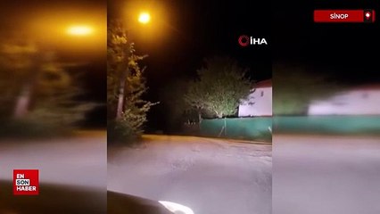 Sinop’ta domuzlar evlerin önüne kadar geldi