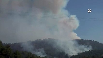 Sakarya'dan Bilecik'e sıçrayan orman yangını 3. gününde!