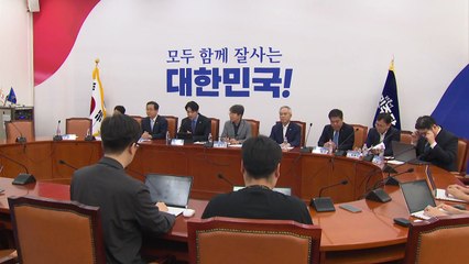 민주 "대북송금사건 조작 기소 의심...공소 취소해야" / YTN