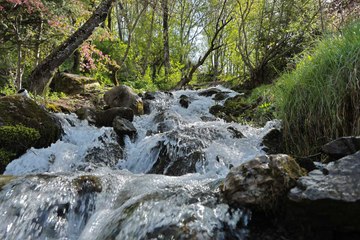 Bütün güzellikler bu şehirde toplanmış: İlk kez görenler inanamıyor!