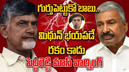 Peddireddy Ramachandra Reddy  - ఏపీలో తాలిబాన్ల పాలన | MP Mithun Reddy Arrest | Oneindia Telugu