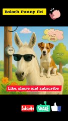 A beautiful funny dog 🐕 singing video MP4 HD