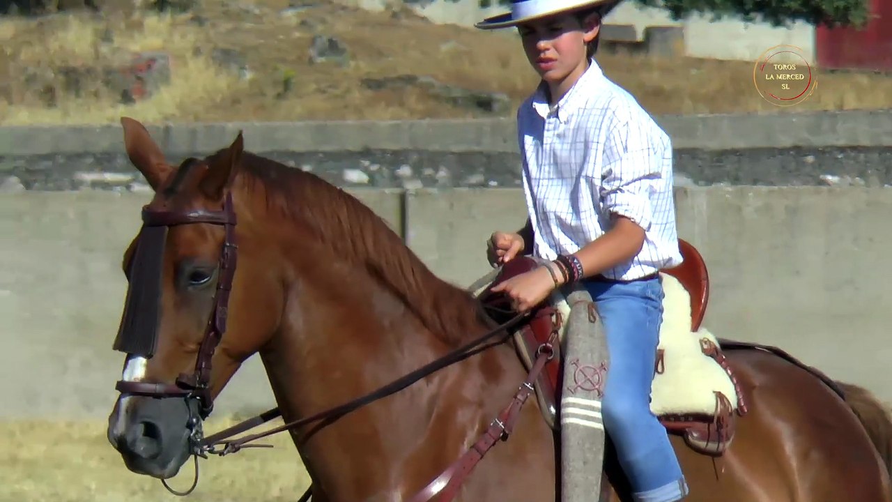 Toros de Loreto Charro - Huelva 2025