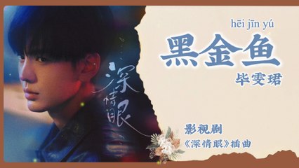 【Chi/Eng/Pinyin Lyrics】 毕雯珺 (Bevan Bi) - 黑金鱼 (Black Goldfish)  | 《深情眼 Deep Affection Eyes》 OST