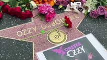 Książę Ciemności opłakiwany przez fanów na Alei Gwiazd w Hollywood