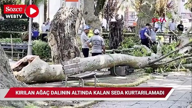 Kırılan ağaç dalının altında kalan Seda kurtarılamadı