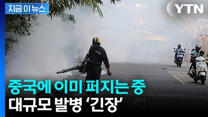 열·심각한 관절 통증 증상...WHO, 세계적 유행 가능성 '경고' [지금이뉴스]  / YTN