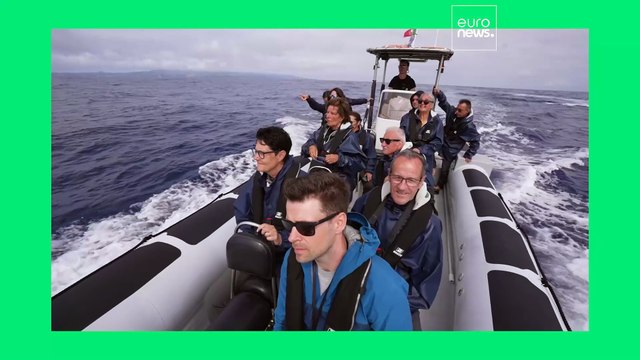 Слушать океан, плывя по звездам: может ли массовый морской туризм стать экологичным?