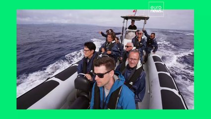 Слушать океан, плывя по звездам: может ли массовый морской туризм стать экологичным?