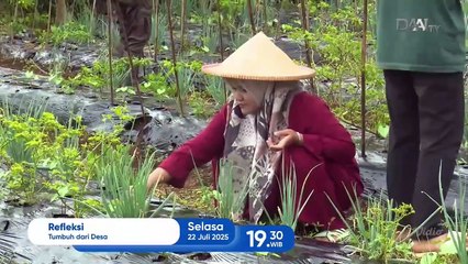 Bingkai Sumatera (DAAI TV) 21/7/2025