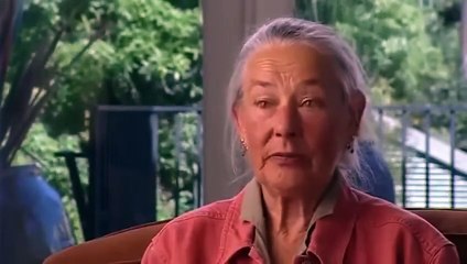 The Bridge - Eric Steel - 2006