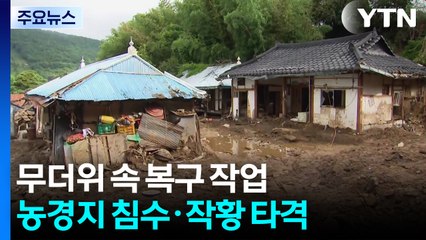 무더위 속 농작물 복구 한창..."전부 고사 직전이에요" / YTN