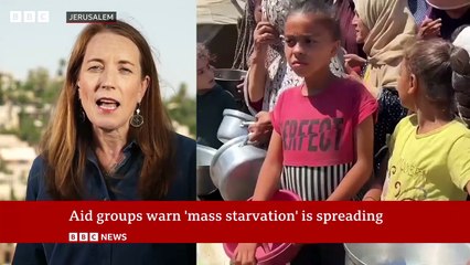 Aid groups warn that ‘mass starvation’ is spreading in Gaza | BBC News