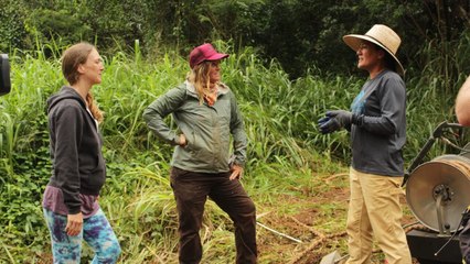 Habitations en péril