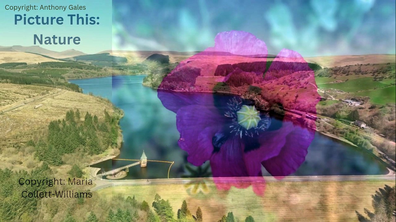 Picture This: Nature in Brecon & Radnorshire