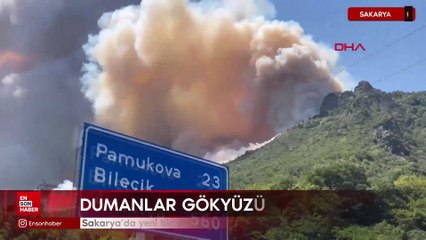 Sakarya'da yeni bir orman yangını çıktı