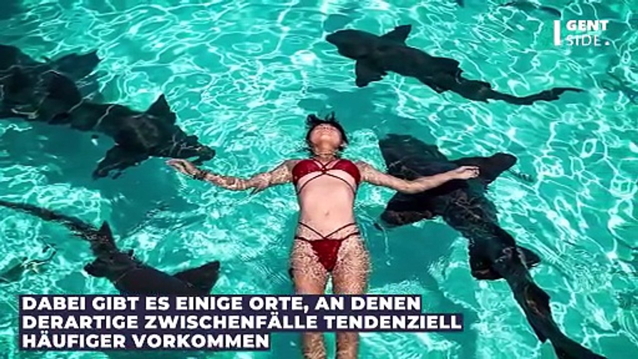 Gefahr durch Haie: Hier ist tendenziell häufiger mit Angriffen zu rechnen