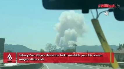 Sakarya Geyve’de yeni orman yangını! Ekipler mücadele ediyor