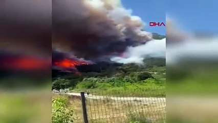 Biri sönüyor, diğeri başlıyor: Sakarya'da yeni orman yangını