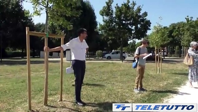 Video News - Aiuole e alberi contro le isole di calore