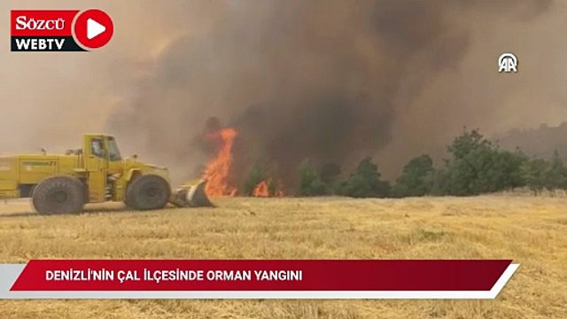 Denizli'nin Çal ilçesinde orman yangını