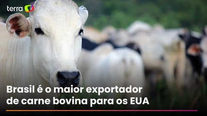Exportação de carne brasileira para os EUA despenca 80% em três meses