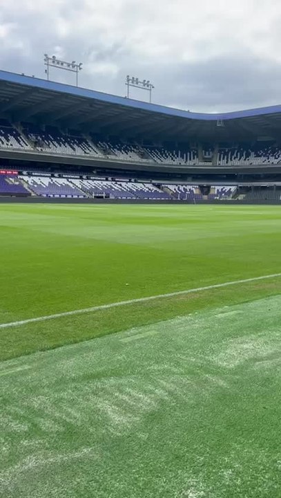 La toute nouvelle pelouse d'Anderlecht est prête avant le match contre le BK Hacken