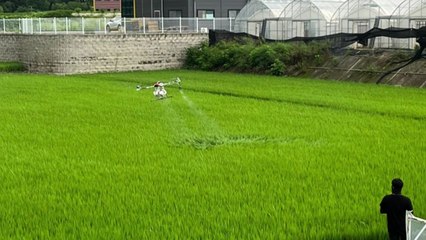 [경기] 광주시, 드론·방제 차량으로 벼 병해충 공동 방제 / YTN